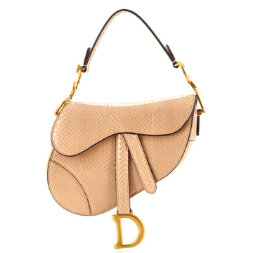 Christian Dior Saddle Handbag Python Mini