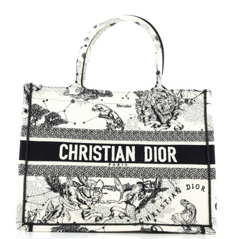Christian Dior Book Tote Embroidered Canvas Medium
