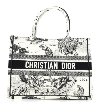 Christian Dior Book Tote Embroidered Canvas Medium