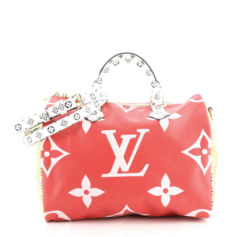 Louis Vuitton Speedy Bandouliere Bag Limited Edition Colored Monogram Giant 30