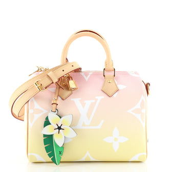 Louis Vuitton Speedy Bandouliere Bag By The Pool Monogram Giant 25