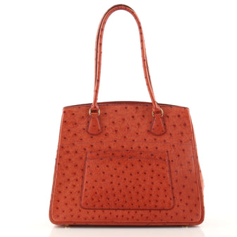 Hermes Vintage Tote Ostrich Medium
